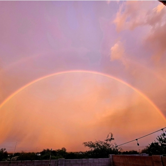 ๐ต๐LIVE LISTING ๐ต๐ - Picture 10 of 10